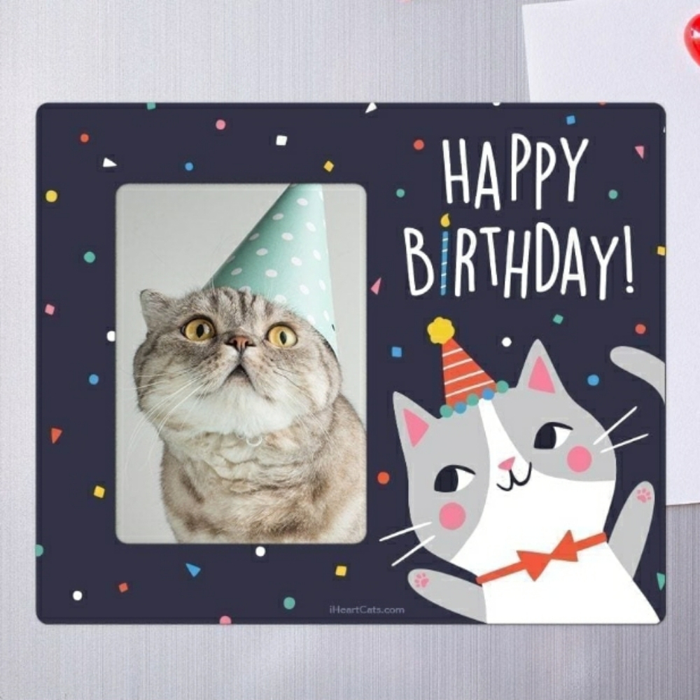 Birthday Kitty Picture Frame Magnet